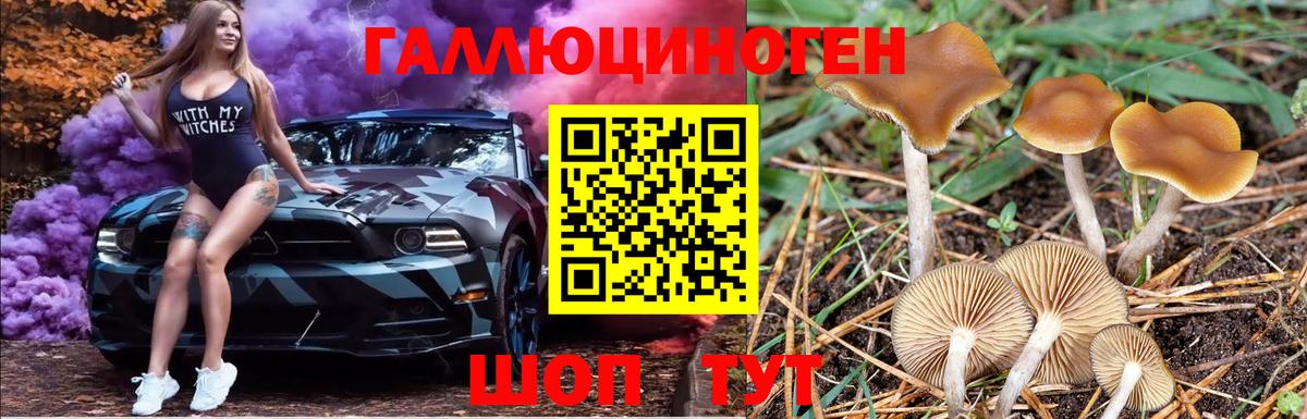 Псилоцибиновые грибы GOLDEN TEACHER Кингисепп